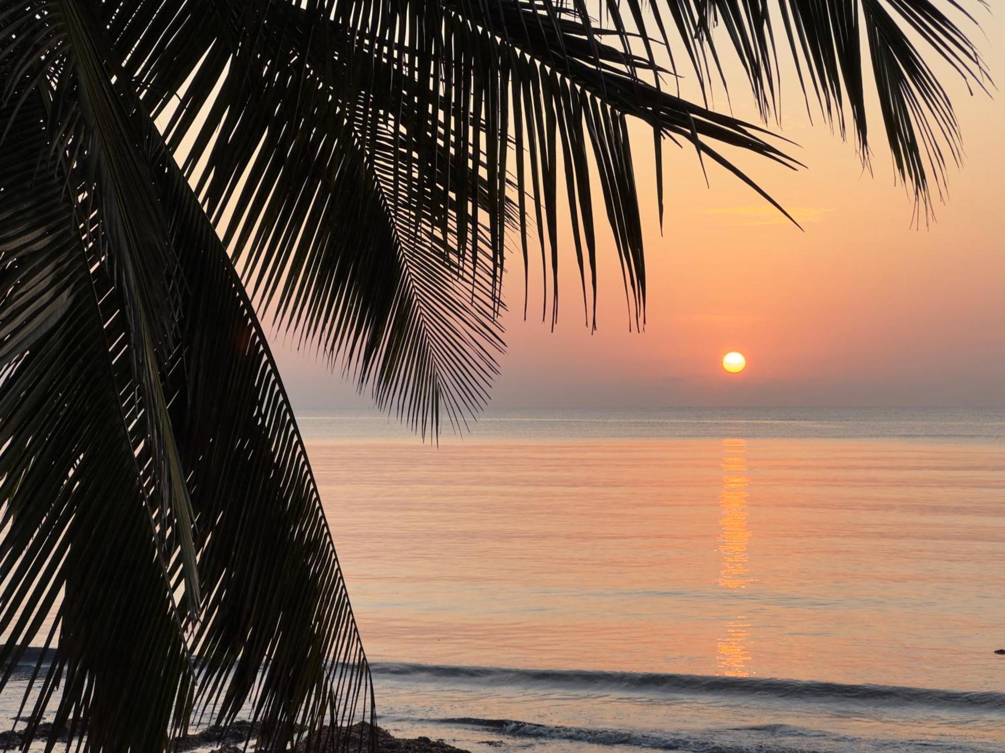 Sawa Sawa Beach House Msambweni Exteriér fotografie