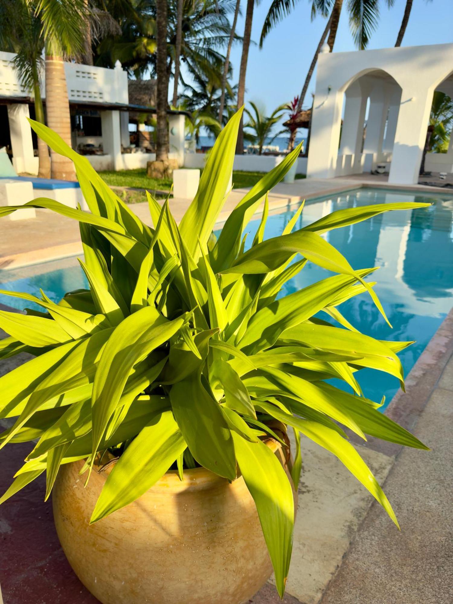 Sawa Sawa Beach House Msambweni Exteriér fotografie