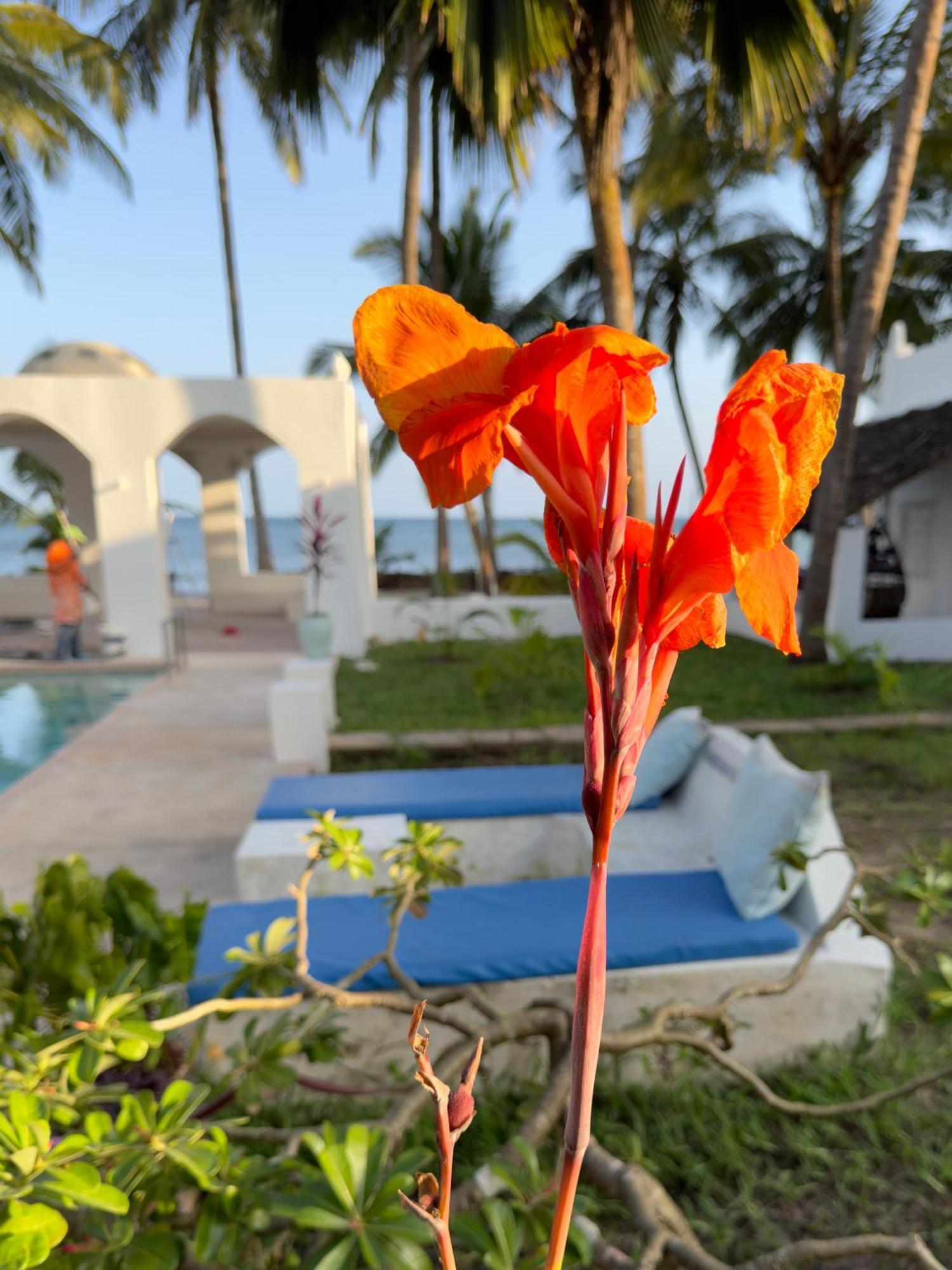 Sawa Sawa Beach House Msambweni Exteriér fotografie