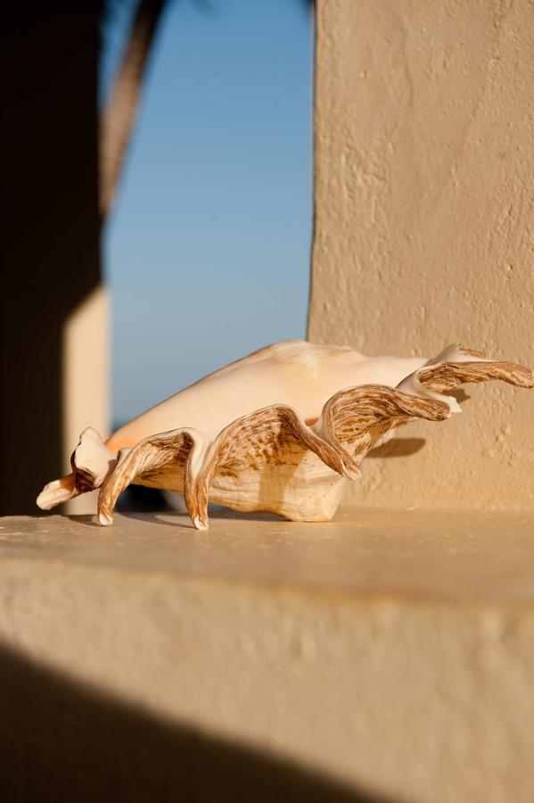 Sawa Sawa Beach House Msambweni Exteriér fotografie